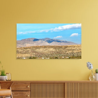 Anza Borrego Desert State Park  Canvas Print