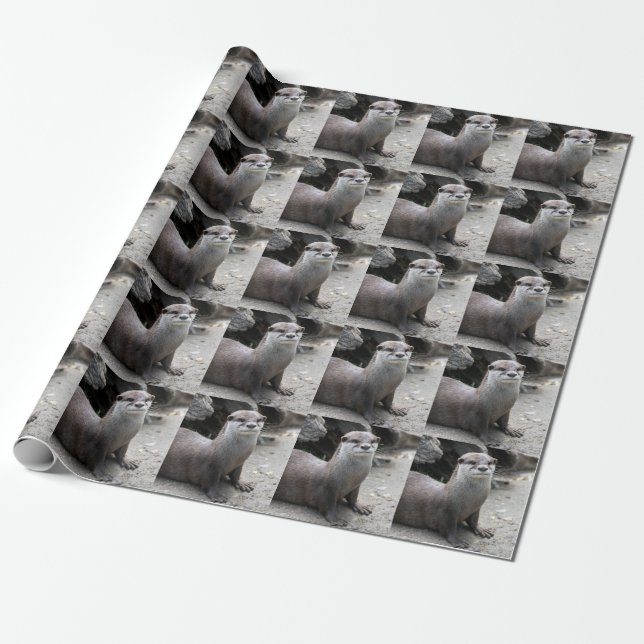 Aonyx cinerea wrapping paper (Unrolled)