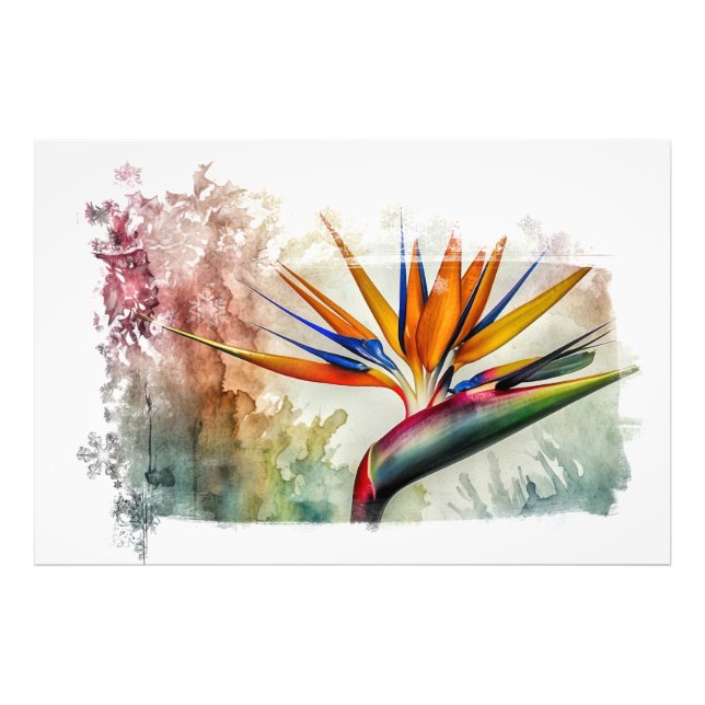*~* AP10 Bird of Paradise Art Painting #18 Photo Print (Front)