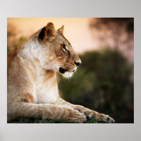 *~* AP23 Artistic Watercolor Golden LIONESS Artsy