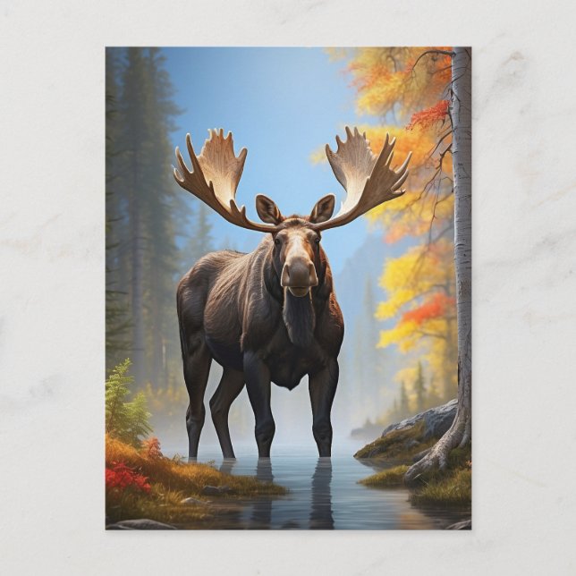 *~* AP49 Strong MOOSE Stream Nature Forest  Postcard (Front)