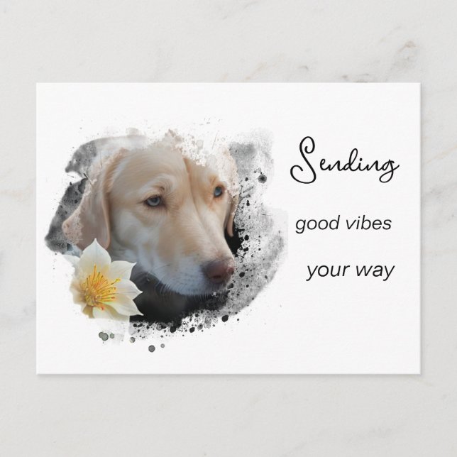 *~* AP61 Good Vibes Lab Retriever Flower  Postcard (Front)