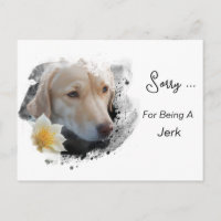*~* AP61 Sad Lab Retriever Flower Sorry Jerk