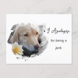 *~* AP61  Sad Tan Dog Apologise Caring Flower  Postcard