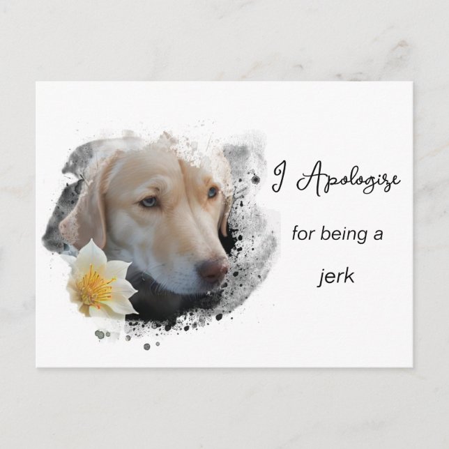 *~* AP61  Sad Tan Dog Apologise Caring Flower  Postcard (Front)