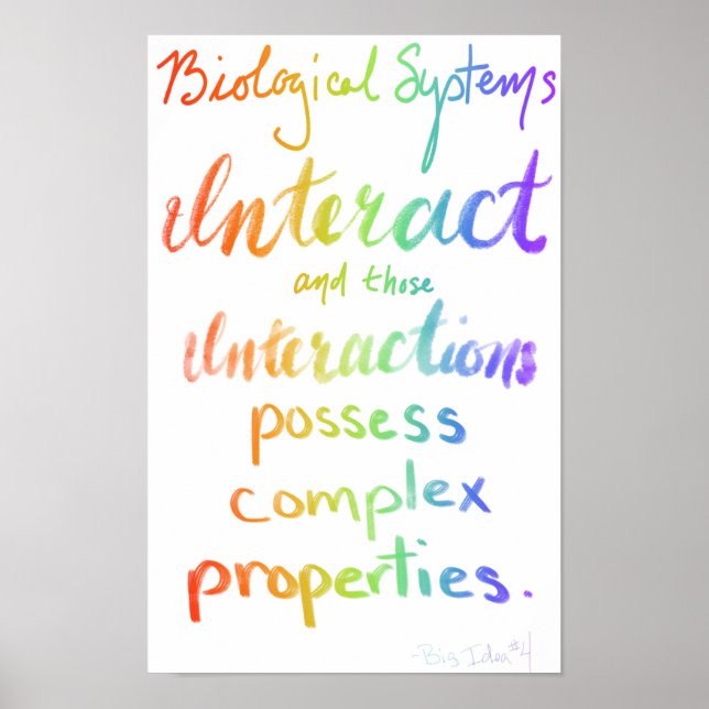 AP Biology Big Idea Four Poster (Front)