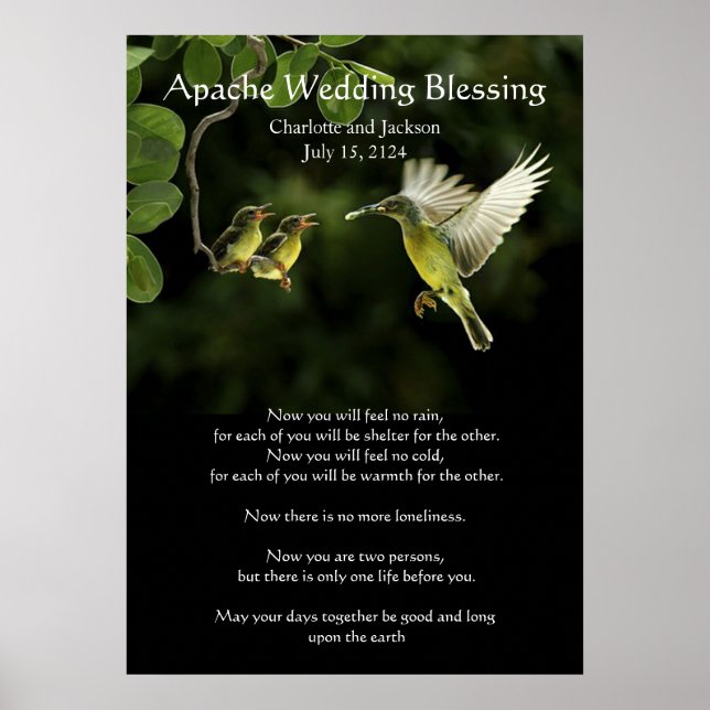 Apache Wedding Blessing Hummingbird feeding babies Poster (Front)