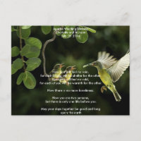 Apache Wedding Blessing Mother Hummingbird