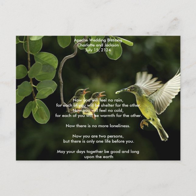 Apache Wedding Blessing Mother Hummingbird Postcard (Front)
