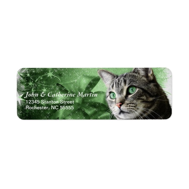 APAL - Christmas Silver Tabby Cat (Front)