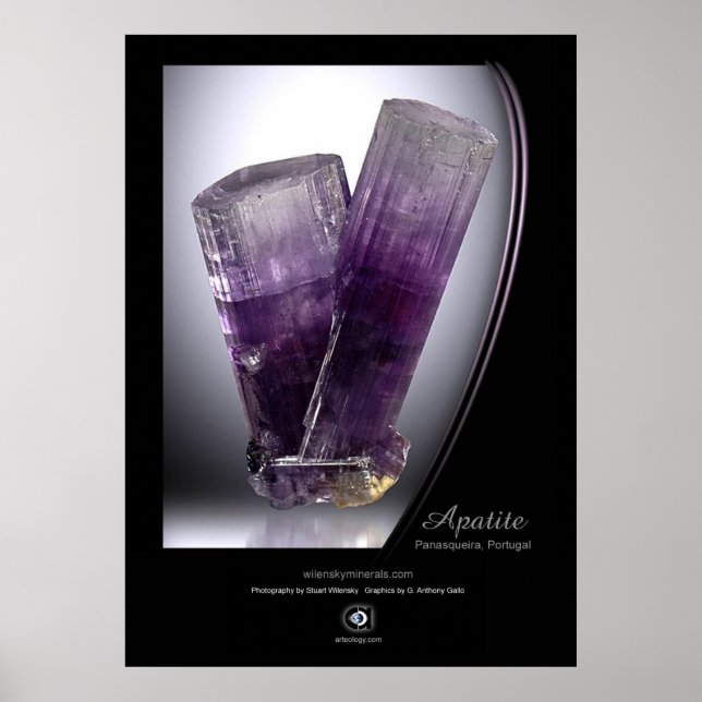 APATITE POSTER (Front)