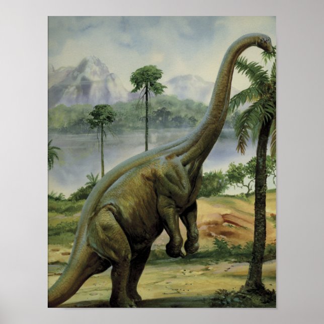 Apatosaurus (Brontosaurus) Eating Illustration Poster (Front)