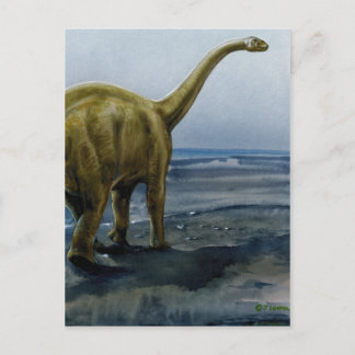 Apatosaurus (Brontosaurus) Illustration Postcard