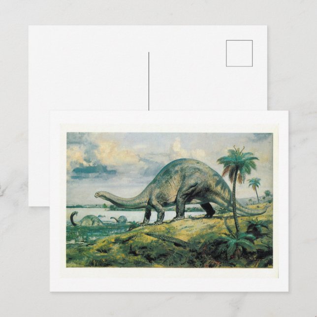 Apatosaurus Excelsus (Brontosaurus) Postcard (Front/Back)