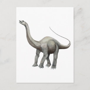 Apatosaurus Postcard