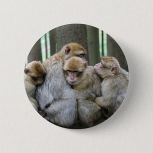 Ape Group Hug 6 Cm Round Badge