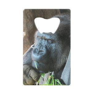 Ape hood ~ Japanese Gorilla Eating