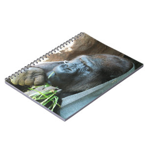 Ape hood ~ Japanese Gorilla Eating Notebook
