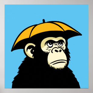 Ape no like rain poster