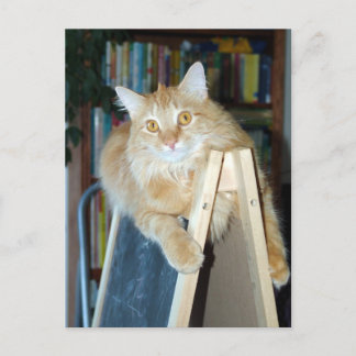 Apelsin the Artist Postcard