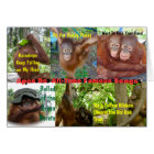 Apes Do All-Time Famous Songs