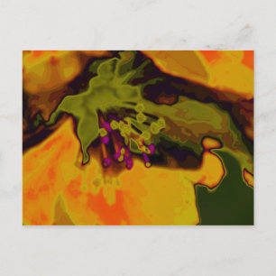 Apfelblüte Postcard