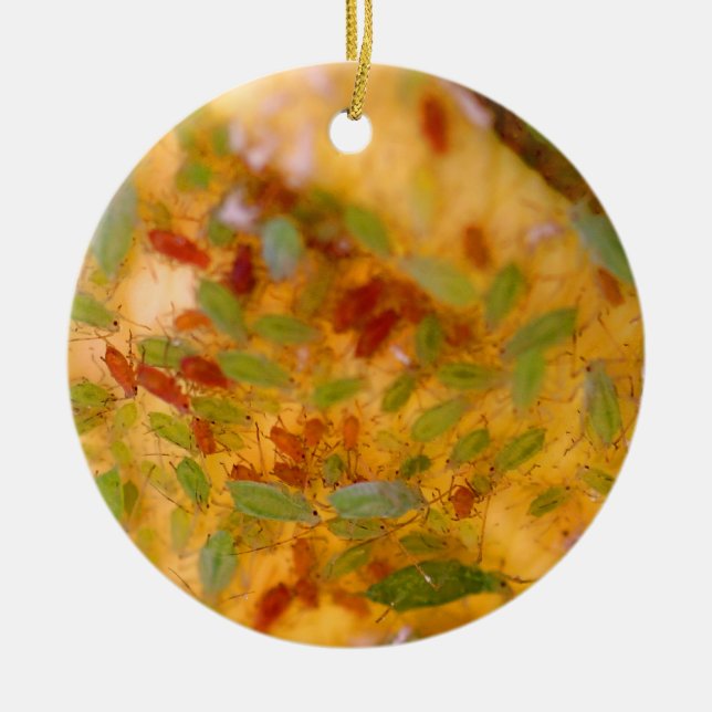 Aphids Infestation Ceramic Tree Decoration (Front)