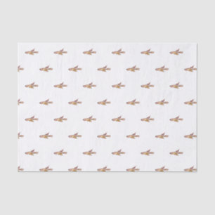 aphyosemion bitaeniatum ijebu ode Killifish Tissue Paper