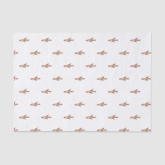 aphyosemion bitaeniatum ijebu ode Killifish Tissue Paper