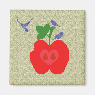 api apple magnet