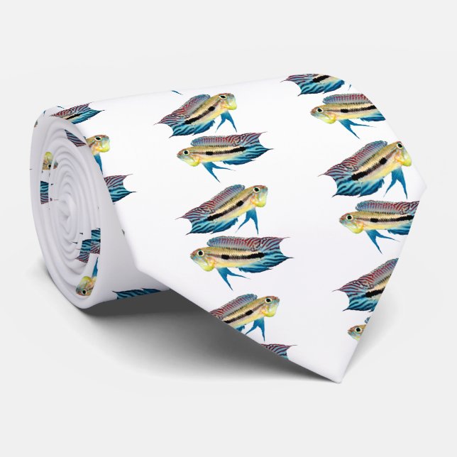 Apistogramma mendezi tie (Rolled)