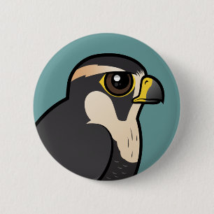 Aplomado Falcon 6 Cm Round Badge