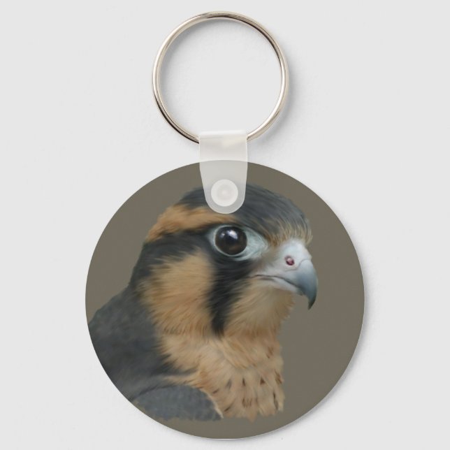 Aplomado Key Ring (Front)