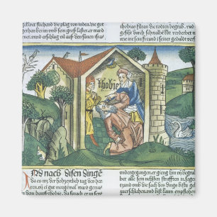 Apocrypha: Tobit is blinded by sparrow's droppings Magnet