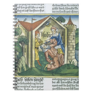 Apocrypha: Tobit is blinded by sparrow's droppings Spiral Notebook