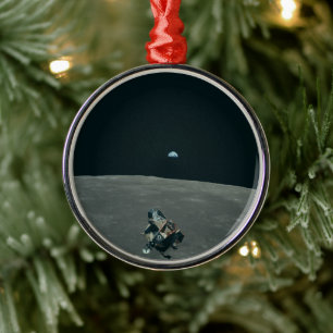 Apollo Lunar Lander and Earthrise Over Moon Metal Tree Decoration