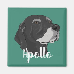 Apollo Magnet