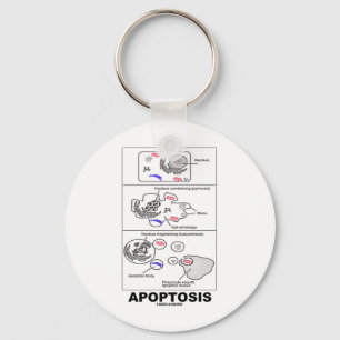 Apoptosis (Biology Cell Death) Key Ring