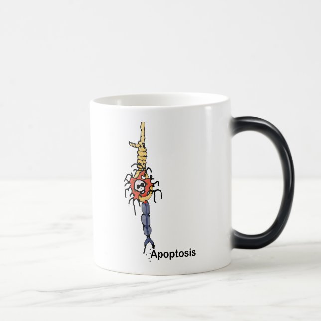 Apoptosis Magic Mug (Right)