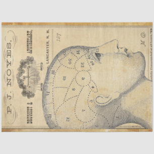 Apothecary Furniture Decoupage Paper