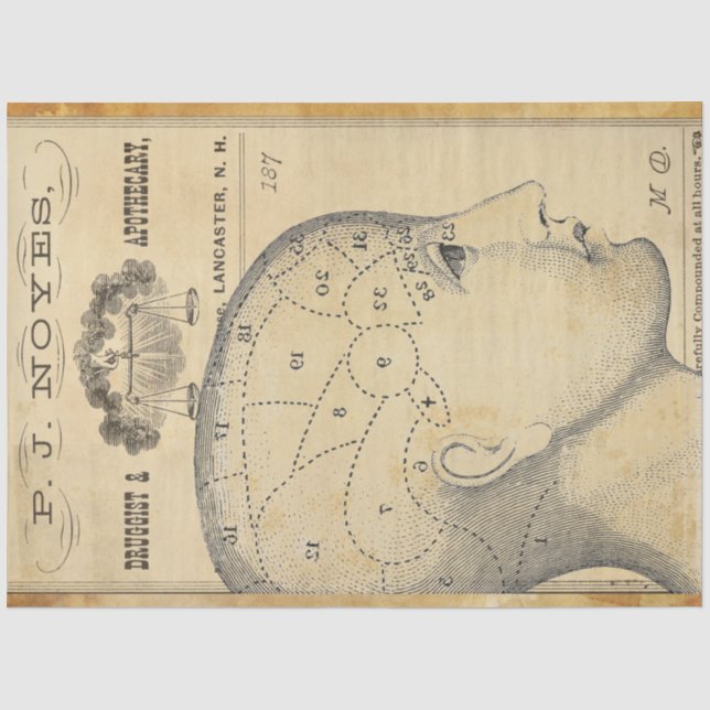 Apothecary Furniture Decoupage Paper (Front)