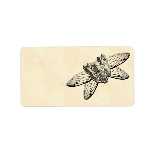 Apothecary Label (Front)