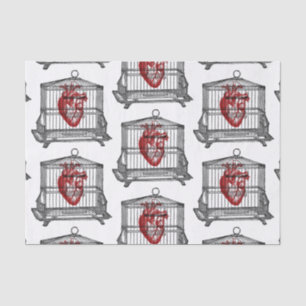 Apothecary Tissue Paper