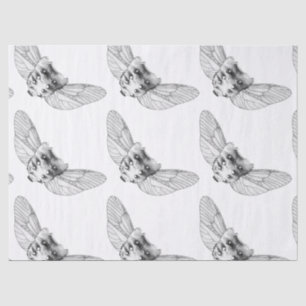 Apothecary Tissue Paper