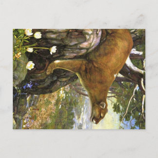 Appalachian Animals Postcard
