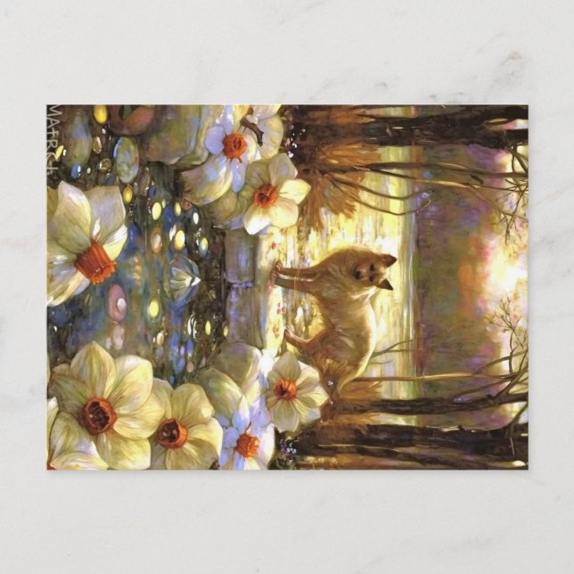 Appalachian Animals Postcard (Front)