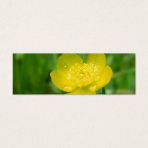 Appalachian Buttercup Bookmarks