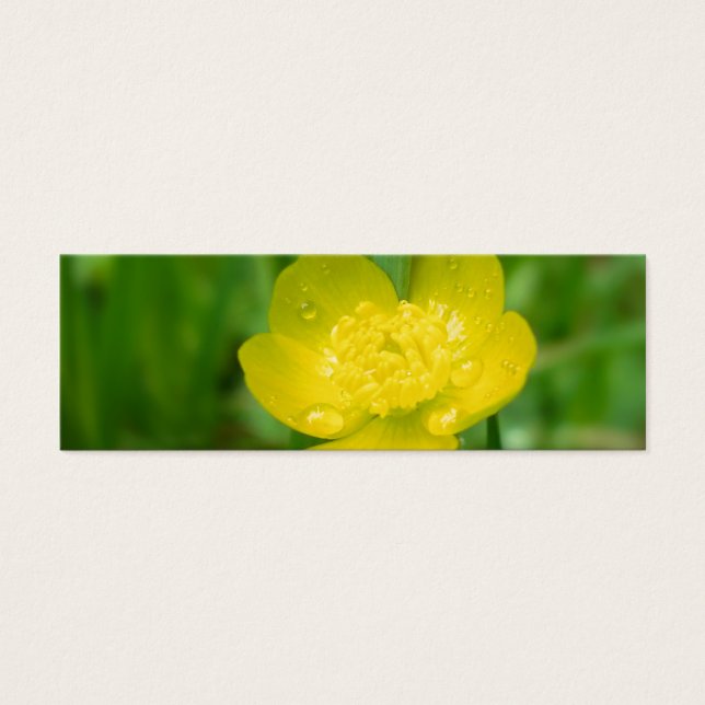Appalachian Buttercup Bookmarks (Front)