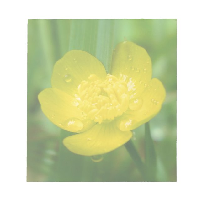 Appalachian Buttercup Notepad (Front)