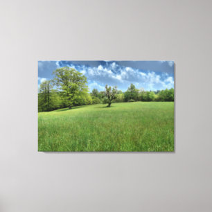 Appalachian Green Canvas Print